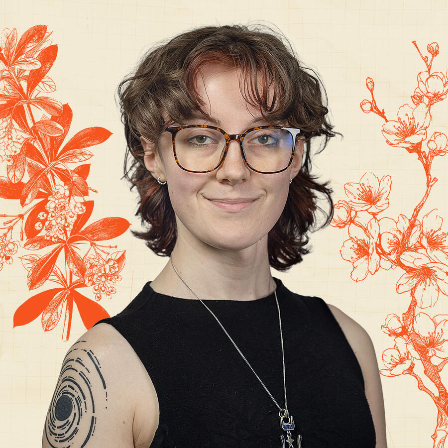 Avery Belafsky