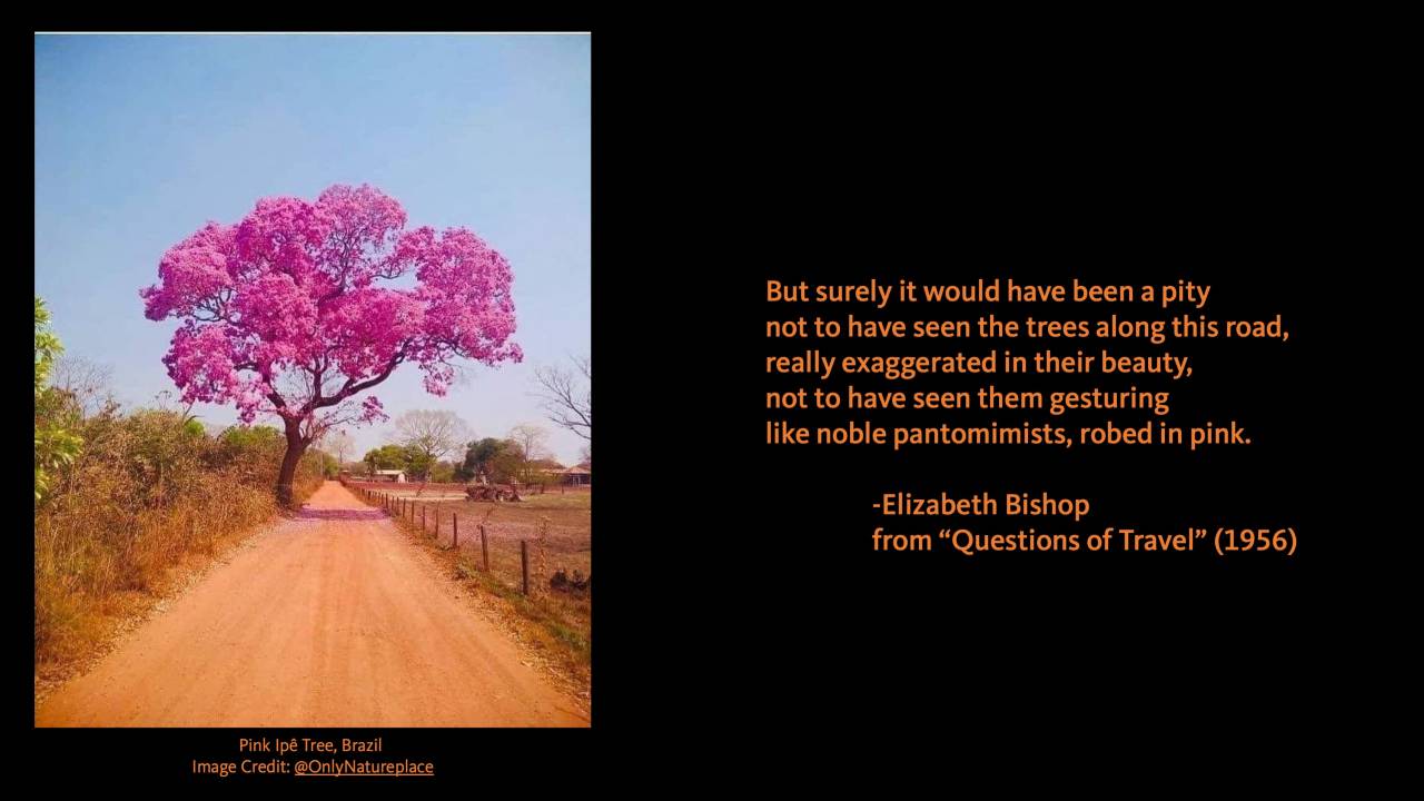 Elizabeth Bishop Question of Travel Tone 2nd Passage