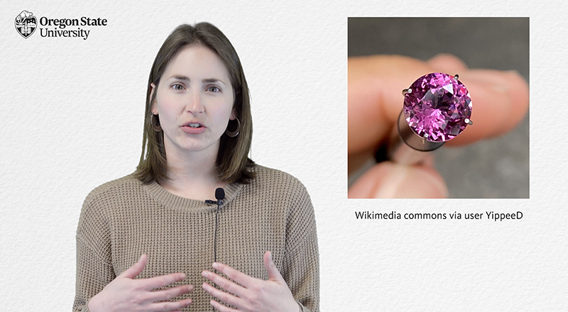 capture from video with Rebecca Fradkin beside an image of a gem and its photo attribution