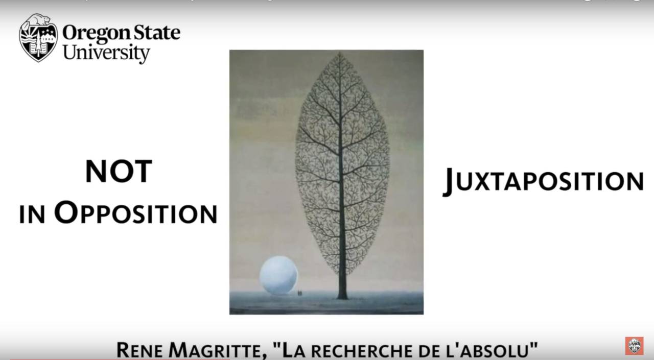 Juxtaposition Magritte