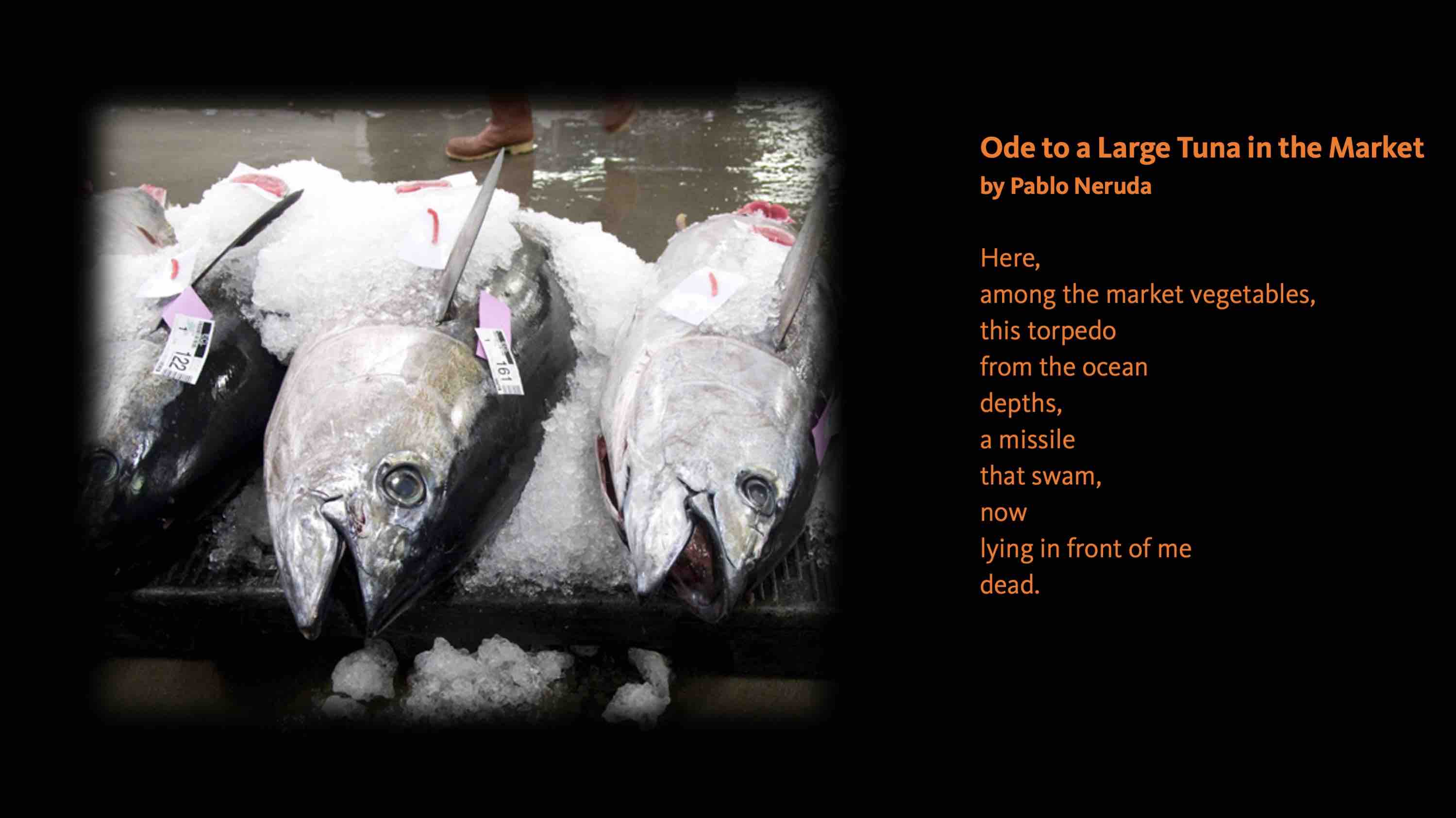 Neruda Ode to a Large Tuna in the Market