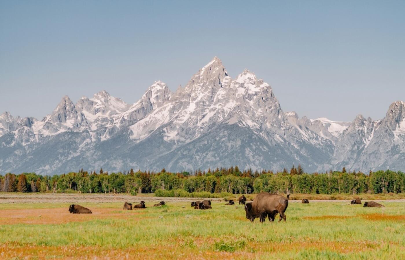 grand teton national park