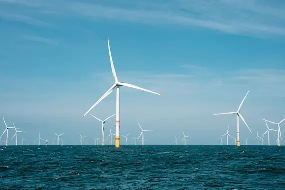 a windmill farm off the coast