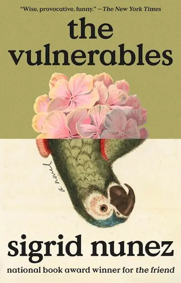 a cover image of the book The Vulnerables