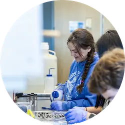 a woman working in the lab