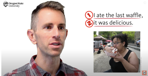 What is a Comma Splice? || Oregon State Guide to Grammar | College of ...