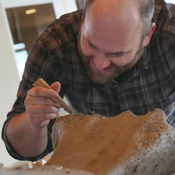 The bones of a 10,000 year-old mammoth 