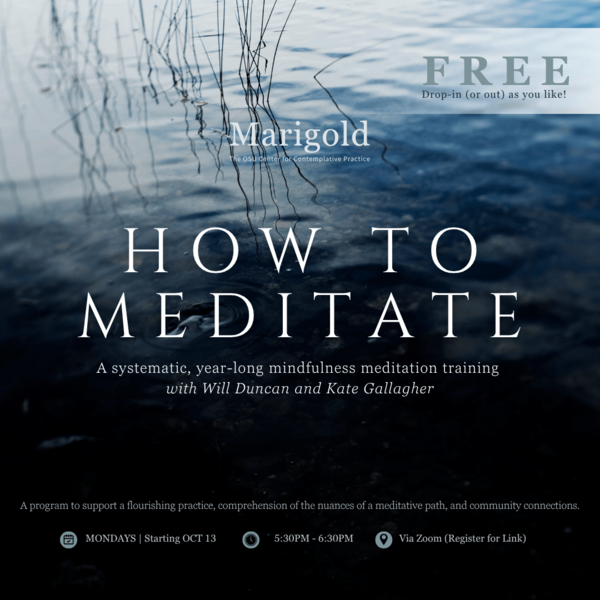 How to Meditate Graphic