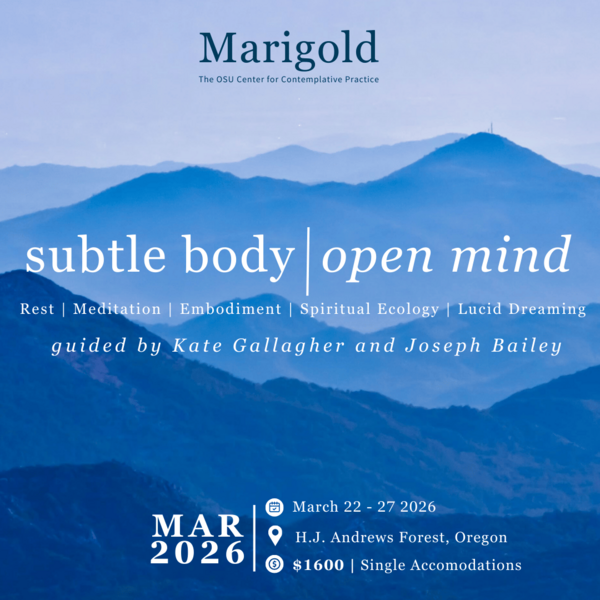 Image of blue mountains in the distance with the text overlaid: Subtle Body Open Mind: A 5 night retreat