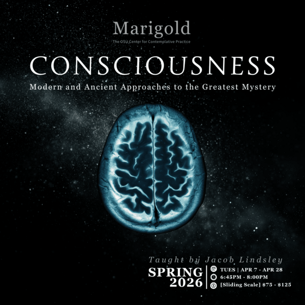 Consciousness Square