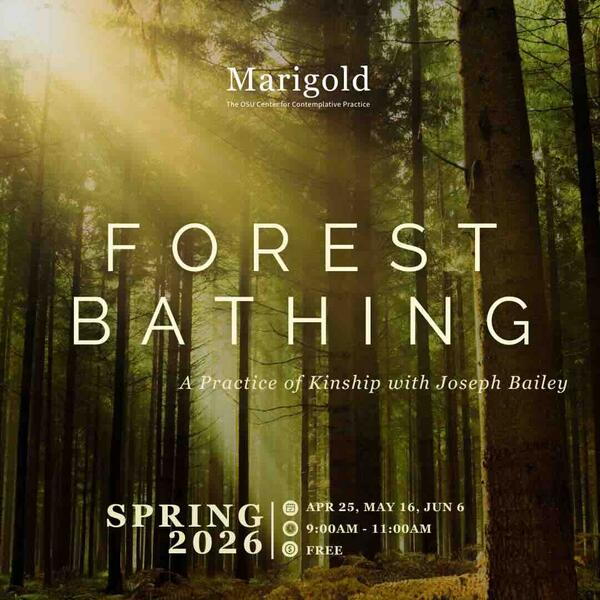 Forest background with light coming through, copy and title of the event 