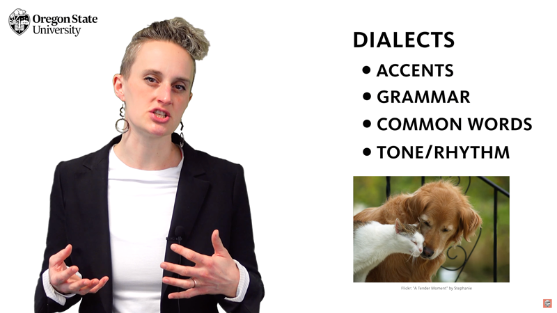 tekla in front of a screen with a dog and a cat picture and the text "dialects: accents, grammar, common words, tone / rhythm"